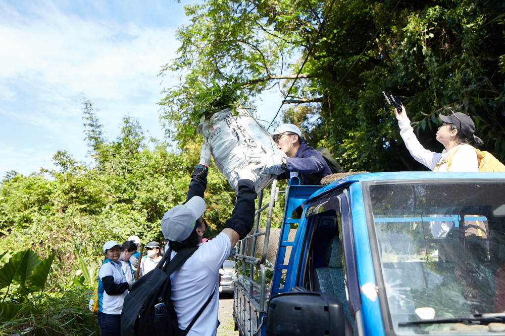 友達串聯志工組成水環境巡守隊，針對霄裡溪沿岸3公里的小花蔓澤蘭，定期進行移除與防治工作